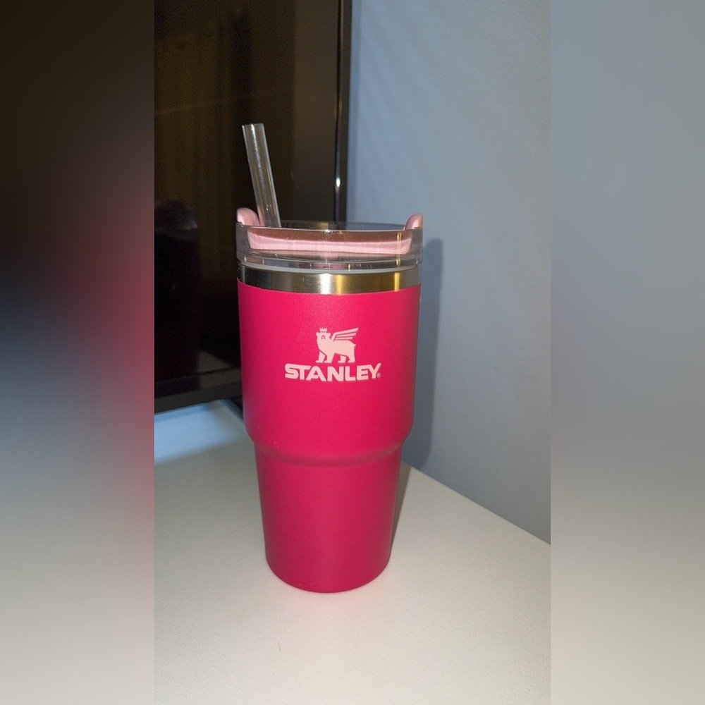 20oz Pink Stanley Tumbler